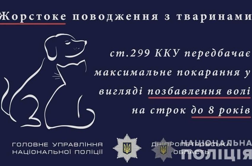  В Чугуевском районе несовершеннолетние жестоко убили собаку